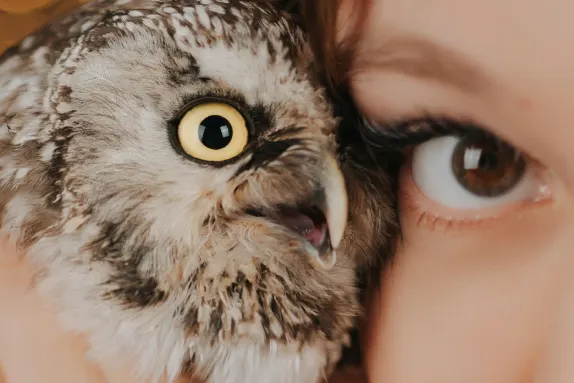 Paradise Casino Soporte